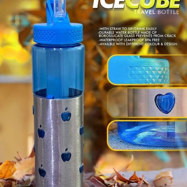 Stainless Steel Base Direct Sip Water Bottle with Travelling Ice Cube