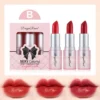 Dragon Ranee 3Pcs Sexy Colorful Lipstick Set - Image 2