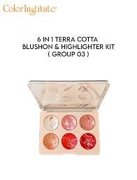 Color Institute 6 in 1 Terra cotta blushon & Highlighter Kit