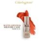 Color Institute Color Intense Lipstick (silver Case)