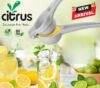 citrus lemon sequzeer